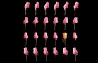 Rosas de Color Rosa — short film directed by Otto Scheuren | Los Cortos