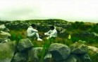 Silencio de Rey — short film directed by Wilmer Pozo | Los Cortos