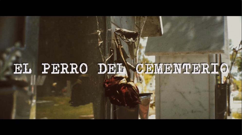 Palpitaciones – El Perro del Cementerio  — short film | Los Cortos