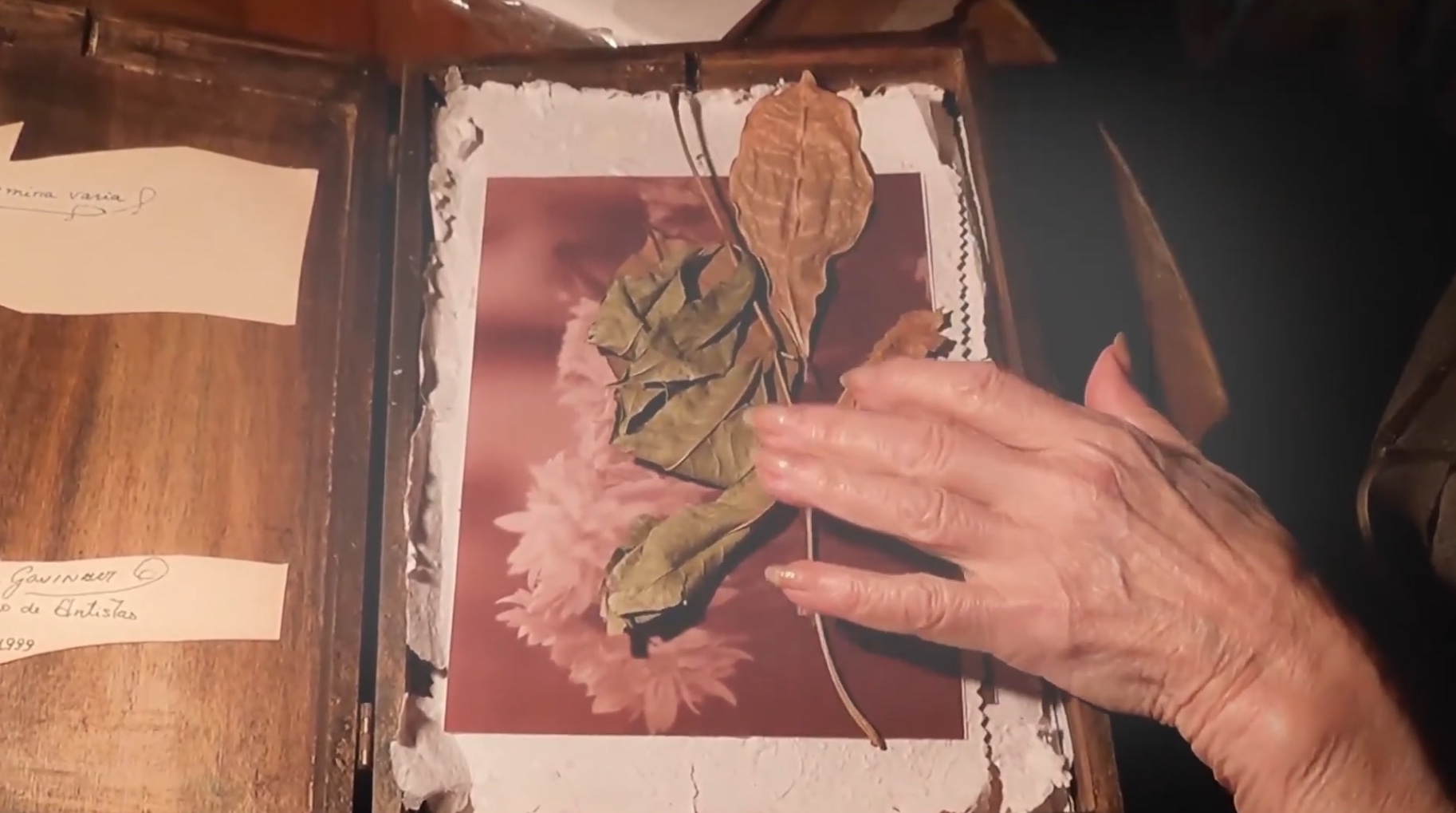 The Box of Memories — short film directed by Ileana Andrea Gómez Gavinoser | Los Cortos
